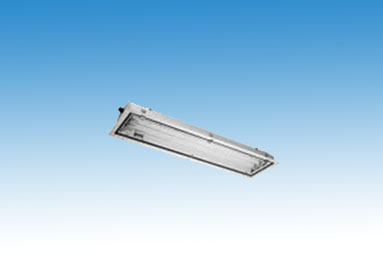 RLF 250系列防爆熒光燈